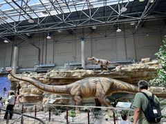 -国家自然博物馆