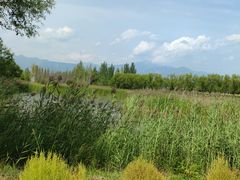 -野鸭湖国家湿地公园