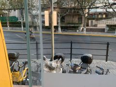 -麦当劳(四平路店)