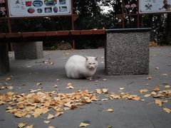-伯先公园