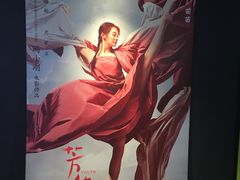 -新影联·华谊兄弟影院(望京店)