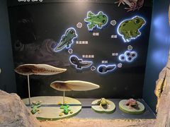 -MR.ZOO小小动物元室内动物园(沈阳沈河盛京中心)