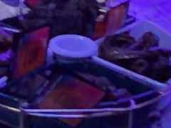 -星聚会KTV X Party(万象城店)