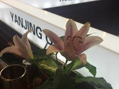 -眼镜哥浦江夜宵大本营