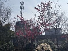 -上海世纪汇广场