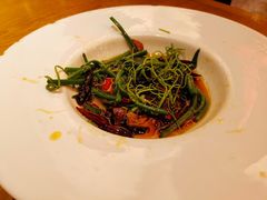 -新凯里酸汤鱼(飞山街店)