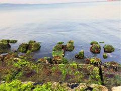 -悦海公园