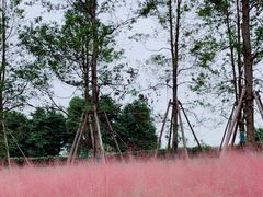 -国际非物质文化遗产博览园