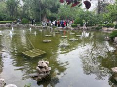 -迎泽公园