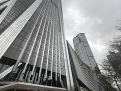 -平安金融中心云际观光层