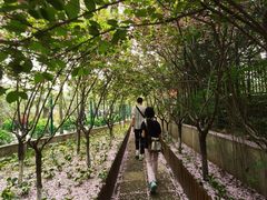 -太阳宫公园