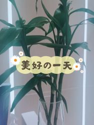 -苑苑vbeauty科技美容SPA