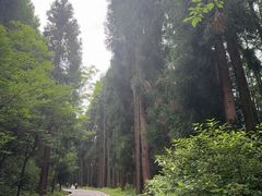 -太阳湾风景区