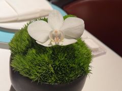 -淮香国色(正大中心店)