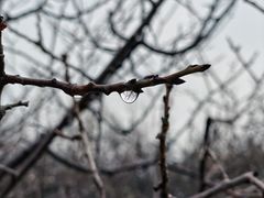 -北京鹫峰国家森林公园