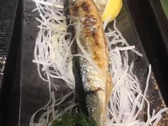 -春草居酒屋·晴子の店