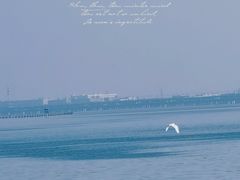 -阳澄湖半岛旅游度假区