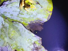 -梁鸿国家湿地公园