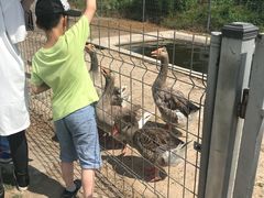 -上海长兴岛郊野公园