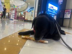 -凯德广场(西城店)