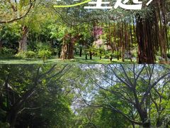 -南宁南湖公园