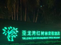-三亚亚龙湾红树林度假酒店