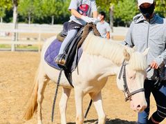 -卓悦童国际幼儿园