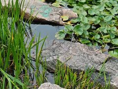 -狼山风景名胜区