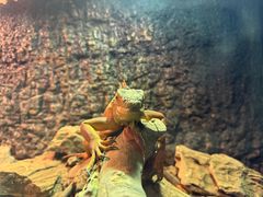 -海合安天津极地海洋公园