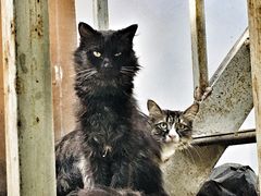 -陕西省游泳跳水馆