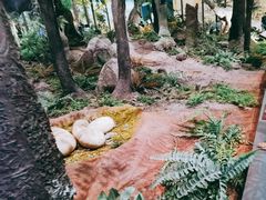 -湖南省地质博物馆