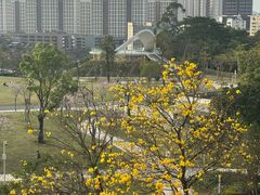-白石龙音乐公园