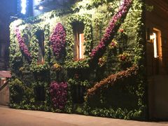 -巴伐利亚啤酒坊(意式风情街店)