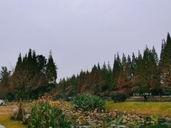 -蜀绣公园