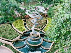 -南山植物园