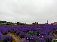 -西海岸生态观光园