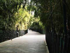-红螺寺