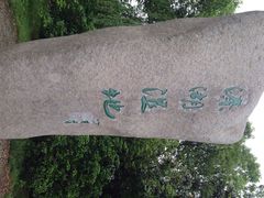 iphone_upload_pic-溱湖国家湿地公园