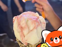 -iceason爱茜茜里·意大利健康冰淇淋(骑龙巷店)