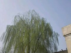 -汉景帝阳陵博物院
