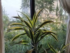 -太守宴·蘭院(天塔店)