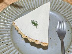 -猫里有甜