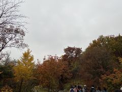 -北京鹫峰国家森林公园