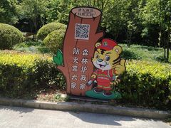 -上海佘山国家森林公园天马山园