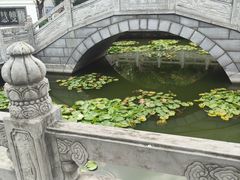 -卓刀泉寺