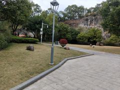 -金鸡山公园