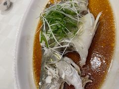 清蒸桂鱼-金河半岛园林酒家(金融城店)