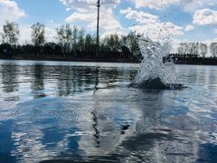 -永定河休闲森林公园