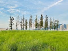 -烟台海昌鲸鲨海洋公园