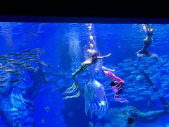 -波塞冬旅游度假区